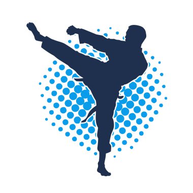 Dövüş sanatları pozu veren bir erkeğin silueti. Dövüş sanatları ustasının silueti tekme atma pozu veriyor..