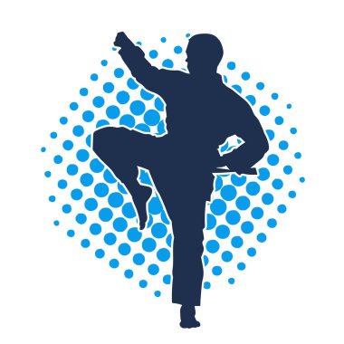 Doğu dövüş sanatı pozu veren bir adamın silueti. Dövüş sanatlarında bir erkeğin silueti..