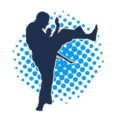 Dövüş sanatları pozu veren bir erkeğin silueti. Dövüş sanatları ustasının silueti tekme atma pozu veriyor..