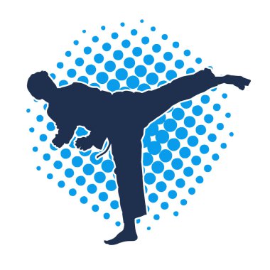 Doğu dövüş sanatı pozu veren bir adamın silueti. Dövüş sanatlarında bir erkeğin silueti..