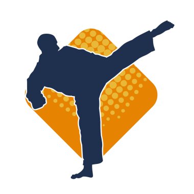 Dövüş sanatları pozu veren bir erkeğin silueti. Dövüş sanatları ustasının silueti tekme atma pozu veriyor..