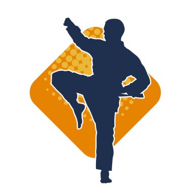 Doğu dövüş sanatı pozu veren bir adamın silueti. Dövüş sanatlarında bir erkeğin silueti..