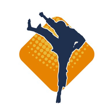 Dövüş sanatları pozu veren bir erkeğin silueti. Dövüş sanatları ustasının silueti tekme atma pozu veriyor..