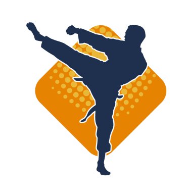 Dövüş sanatları pozu veren bir erkeğin silueti. Dövüş sanatları ustasının silueti tekme atma pozu veriyor..