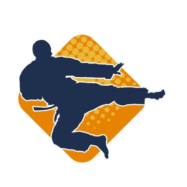 Dövüş sanatları pozu veren bir erkeğin silueti. Dövüş sanatları ustasının silueti tekme atma pozu veriyor..