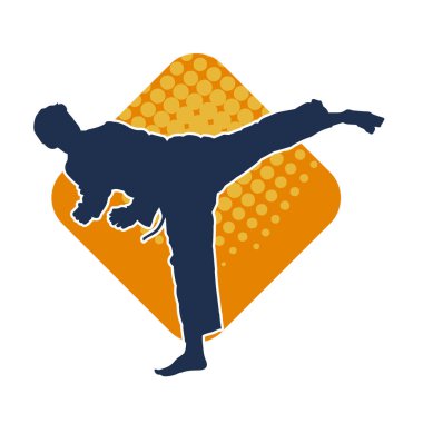 Dövüş sanatları pozu veren bir erkeğin silueti. Dövüş sanatları ustasının silueti tekme atma pozu veriyor..