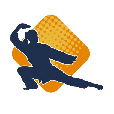 Dövüş sanatları yapan zayıf bir kadının silueti. Dövüş sanatlarında çalışan bir kadının silueti..