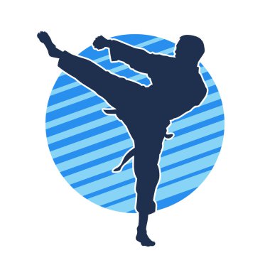 Dövüş sanatları pozu veren bir erkeğin silueti. Dövüş sanatları ustasının silueti tekme atma pozu veriyor..