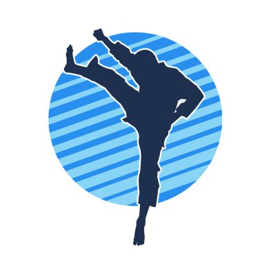 Dövüş sanatları pozu veren bir erkeğin silueti. Dövüş sanatları ustasının silueti tekme atma pozu veriyor..