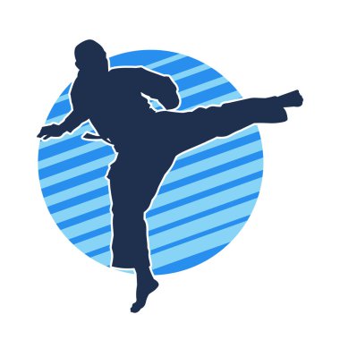 Dövüş sanatları pozu veren bir erkeğin silueti. Dövüş sanatları ustasının silueti tekme atma pozu veriyor..