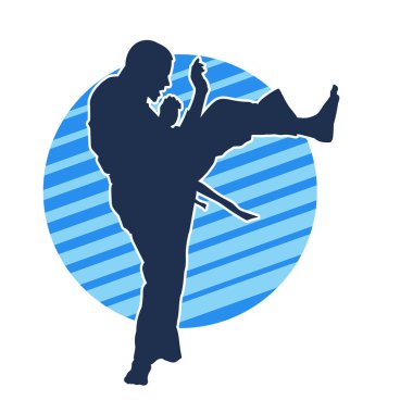 Dövüş sanatları pozu veren bir erkeğin silueti. Dövüş sanatları ustasının silueti tekme atma pozu veriyor..