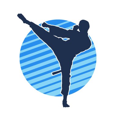 Dövüş sanatları pozu veren bir erkeğin silueti. Dövüş sanatları ustasının silueti tekme atma pozu veriyor..