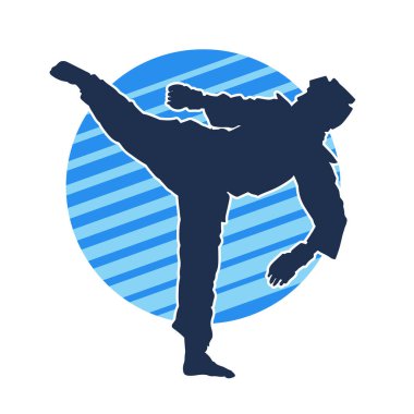 Erkek tekvando ustasının silueti iş başında..