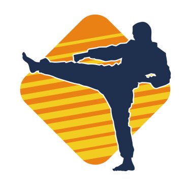 Dövüş sanatları pozu veren bir erkeğin silueti. Dövüş sanatları ustasının silueti tekme atma pozu veriyor..