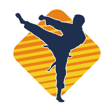 Dövüş sanatları pozu veren bir erkeğin silueti. Dövüş sanatları ustasının silueti tekme atma pozu veriyor..