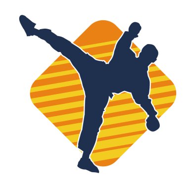 Dövüş sanatları pozu veren bir erkeğin silueti. Dövüş sanatları ustasının silueti tekme atma pozu veriyor..