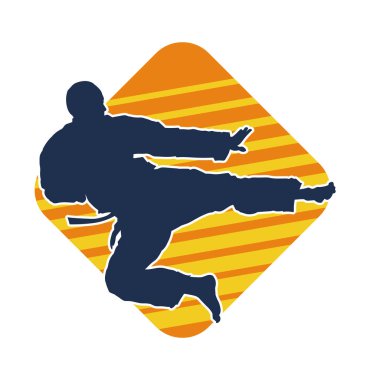 Dövüş sanatları pozu veren bir erkeğin silueti. Dövüş sanatları ustasının silueti tekme atma pozu veriyor..