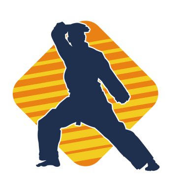 Doğu dövüş sanatı pozu veren bir adamın silueti. Dövüş sanatlarında bir erkeğin silueti..