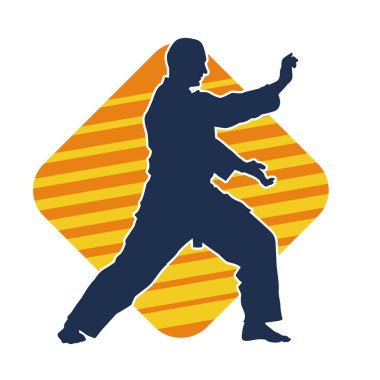 Doğu dövüş sanatı pozu veren bir adamın silueti. Dövüş sanatlarında bir erkeğin silueti..