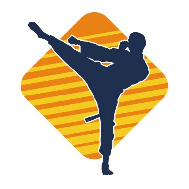 Dövüş sanatları pozu veren bir erkeğin silueti. Dövüş sanatları ustasının silueti tekme atma pozu veriyor..