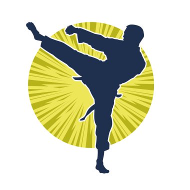 Dövüş sanatları pozu veren bir erkeğin silueti. Dövüş sanatları ustasının silueti tekme atma pozu veriyor..