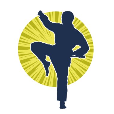 Doğu dövüş sanatı pozu veren bir adamın silueti. Dövüş sanatlarında bir erkeğin silueti..