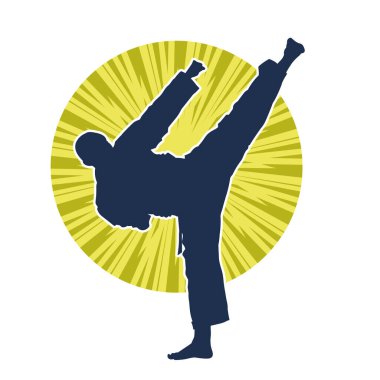 Dövüş sanatları pozu veren bir erkeğin silueti. Dövüş sanatları ustasının silueti tekme atma pozu veriyor..