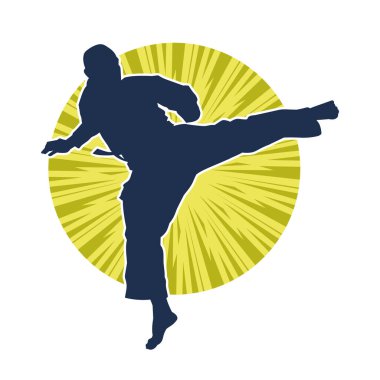 Dövüş sanatları pozu veren bir erkeğin silueti. Dövüş sanatları ustasının silueti tekme atma pozu veriyor..