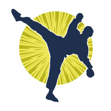 Dövüş sanatları pozu veren bir erkeğin silueti. Dövüş sanatları ustasının silueti tekme atma pozu veriyor..