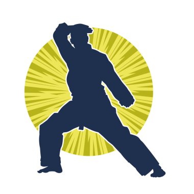 Doğu dövüş sanatı pozu veren bir adamın silueti. Dövüş sanatlarında bir erkeğin silueti..