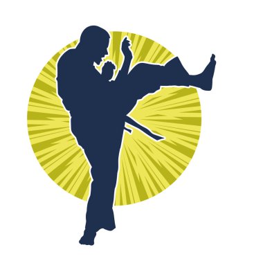 Dövüş sanatları pozu veren bir erkeğin silueti. Dövüş sanatları ustasının silueti tekme atma pozu veriyor..