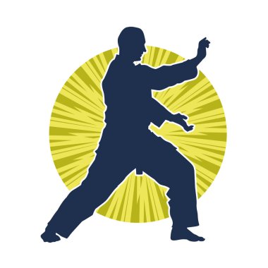 Doğu dövüş sanatı pozu veren bir adamın silueti. Dövüş sanatlarında bir erkeğin silueti..