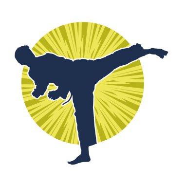 Dövüş sanatları pozu veren bir erkeğin silueti. Dövüş sanatları ustasının silueti tekme atma pozu veriyor..