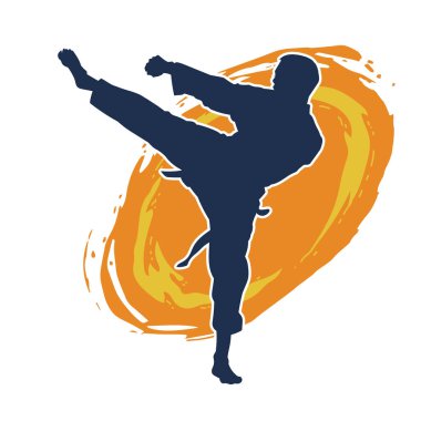 Dövüş sanatları pozu veren bir erkeğin silueti. Dövüş sanatları ustasının silueti tekme atma pozu veriyor..