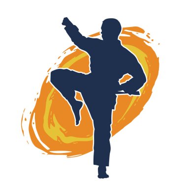 Doğu dövüş sanatı pozu veren bir adamın silueti. Dövüş sanatlarında bir erkeğin silueti..