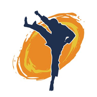 Dövüş sanatları pozu veren bir erkeğin silueti. Dövüş sanatları ustasının silueti tekme atma pozu veriyor..