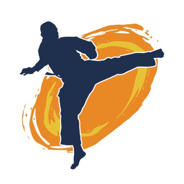 Dövüş sanatları pozu veren bir erkeğin silueti. Dövüş sanatları ustasının silueti tekme atma pozu veriyor..