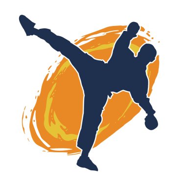 Dövüş sanatları pozu veren bir erkeğin silueti. Dövüş sanatları ustasının silueti tekme atma pozu veriyor..