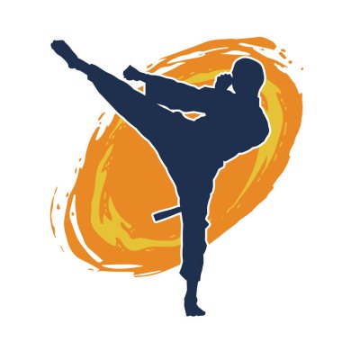 Dövüş sanatları pozu veren bir erkeğin silueti. Dövüş sanatları ustasının silueti tekme atma pozu veriyor..