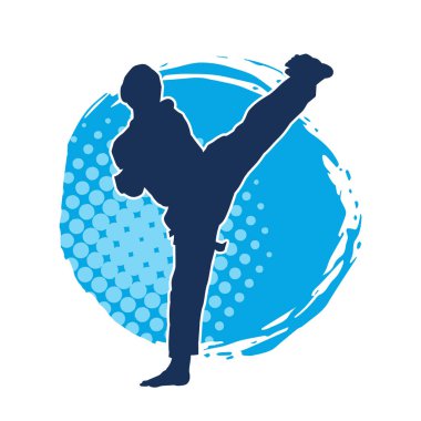 Erkek tekvando ustasının silueti iş başında..