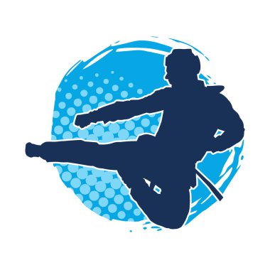 Erkek tekvando ustasının silueti iş başında..