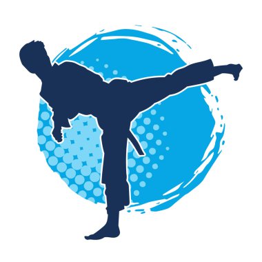 Dövüş sanatları pozu veren bir erkeğin silueti. Dövüş sanatları ustasının silueti tekme atma pozu veriyor..