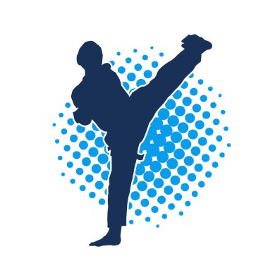 Erkek tekvando ustasının silueti iş başında..