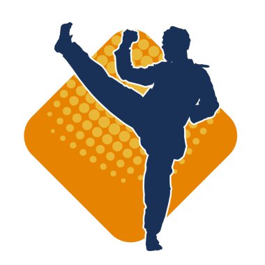 Erkek tekvando ustasının silueti iş başında..