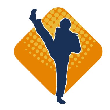 Erkek tekvando ustasının silueti iş başında..