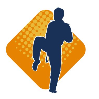 Erkek tekvando ustasının silueti iş başında..