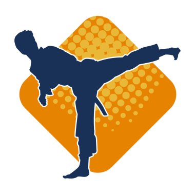 Dövüş sanatları pozu veren bir erkeğin silueti. Dövüş sanatları ustasının silueti tekme atma pozu veriyor..