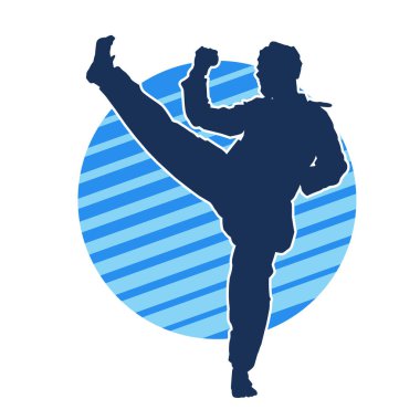 Erkek tekvando ustasının silueti iş başında..