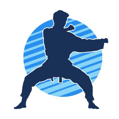 Doğu dövüş sanatı pozu veren bir adamın silueti. Dövüş sanatlarında bir erkeğin silueti..