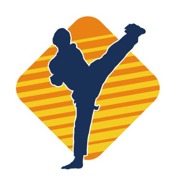 Erkek tekvando ustasının silueti iş başında..